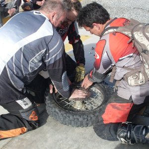 Baja 2009