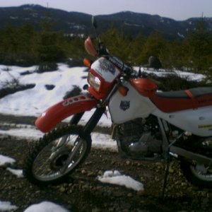 My Vallentine's day ride