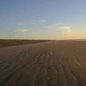 DSC02421
