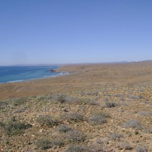 DSC02413