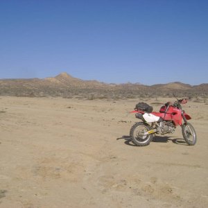 DSC02406