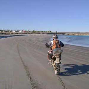 scorpion bay