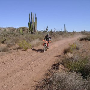 DSC02404
