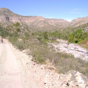 DSC02510