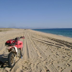 Beach outside Todos Santos