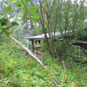 jarko_036