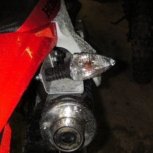 IMGP6595