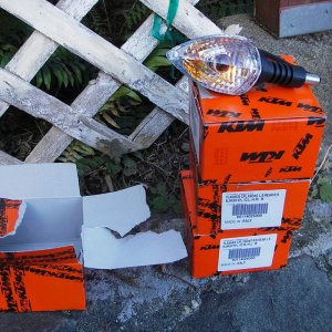 IMGP6510