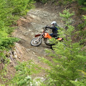 Roscoe Terror'izing the trails
