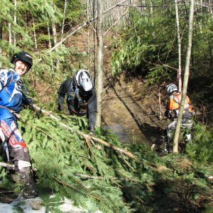Trail Clearing