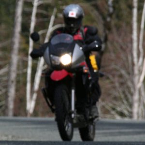 smedley_action