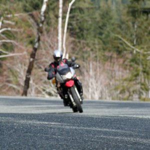 smedley_action2