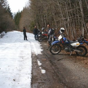 W_Harisson_004