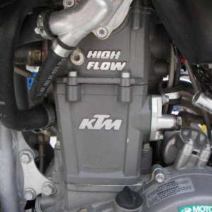 IMGP2435