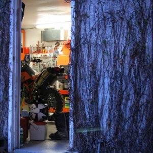 MAY_10_09_014