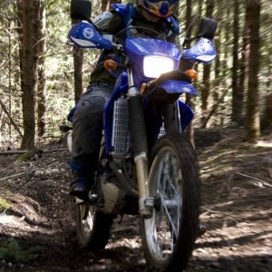 OrcaRun2009-25