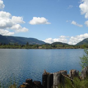 Lake Cowichan North end