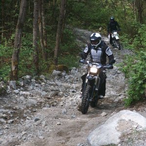 Norrish_004