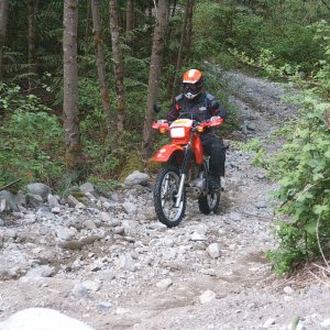 Norrish_003