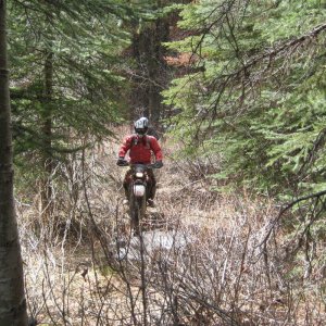 DZ_pre-ride_011