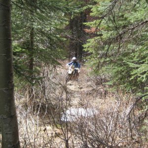 DZ_pre-ride_007