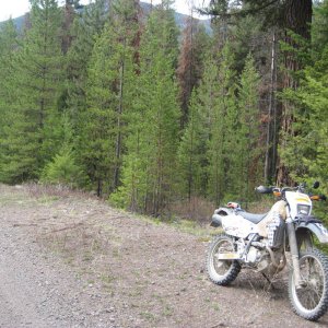 DZ_pre-ride_001
