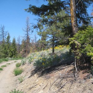 DZ_pre-ride_021