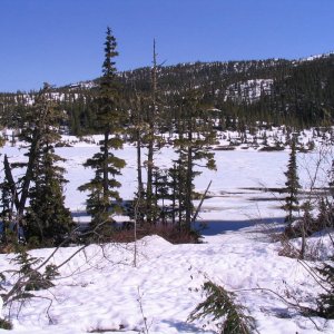 kitsault_022