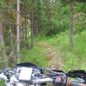 June_21_001