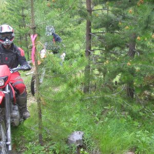 June_21_002