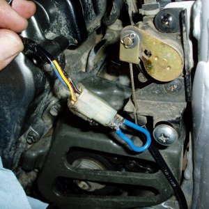 Jumper wire & 1/4" spades soldered on