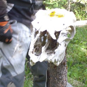 IMGP0436