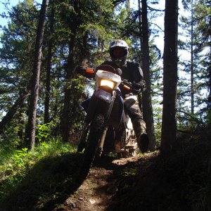 IMGP0430