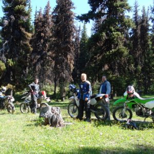 B Loop