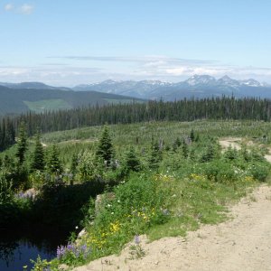 alpine view