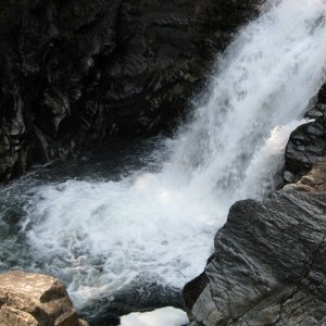 IMG_0658