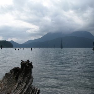 IMG_0098_small