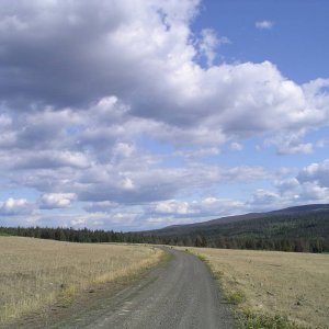 IMGP4903