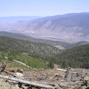 IMGP4535