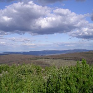 IMGP4912