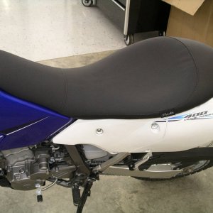 IMGP4098
