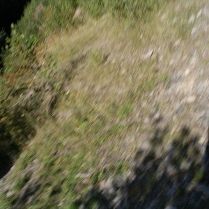 IMGP5219