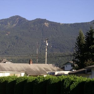 IMGP5281