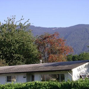 IMGP5282