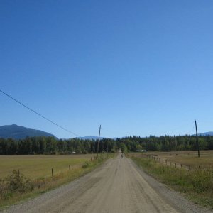 Crowfoot