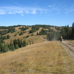 Crowfoot
