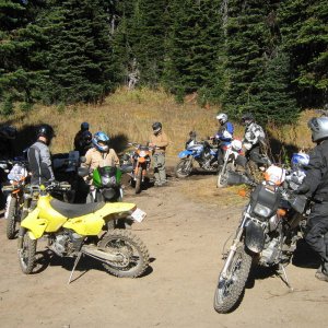 Crowfoot
