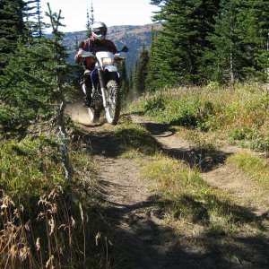 Crowfoot