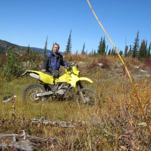 Crowfoot