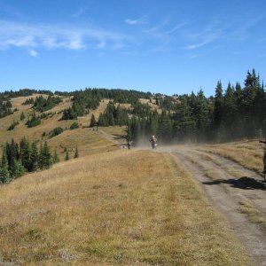 Crowfoot